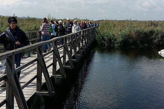 Vereinsreise 2017 an den Federsee Vereinsreise 2017 an den Federsee