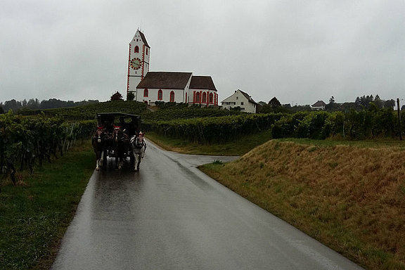 Vereinsreise nach Hallau Vereinsreise nach Hallau